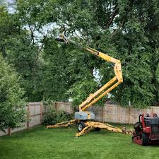 Best Sod Installation  in Ashton, ID