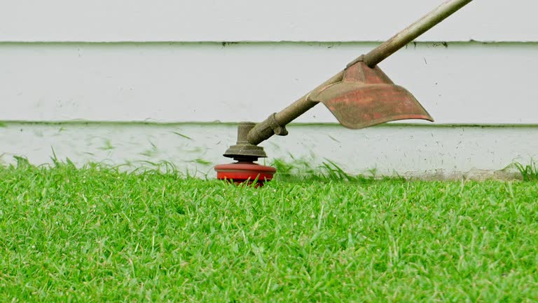 Best Hedge Trimming  in Ashton, ID